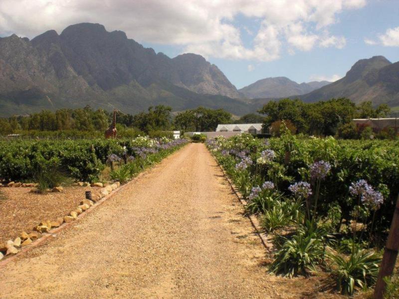Auberge La Dauphine Guest House Franschhoek Zewnętrze zdjęcie