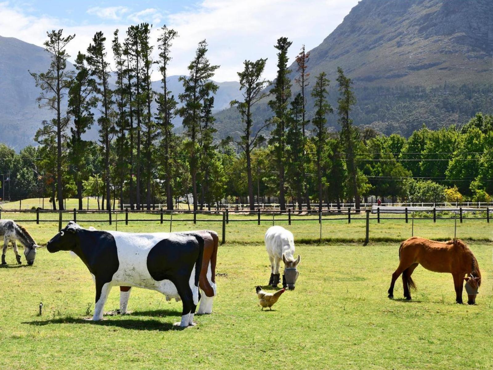 Auberge La Dauphine Guest House Franschhoek Zewnętrze zdjęcie