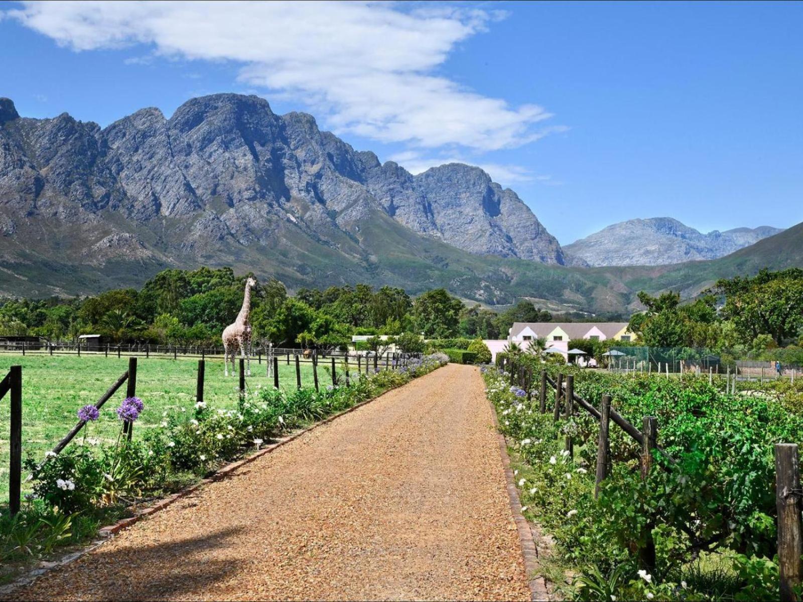 Auberge La Dauphine Guest House Franschhoek Zewnętrze zdjęcie