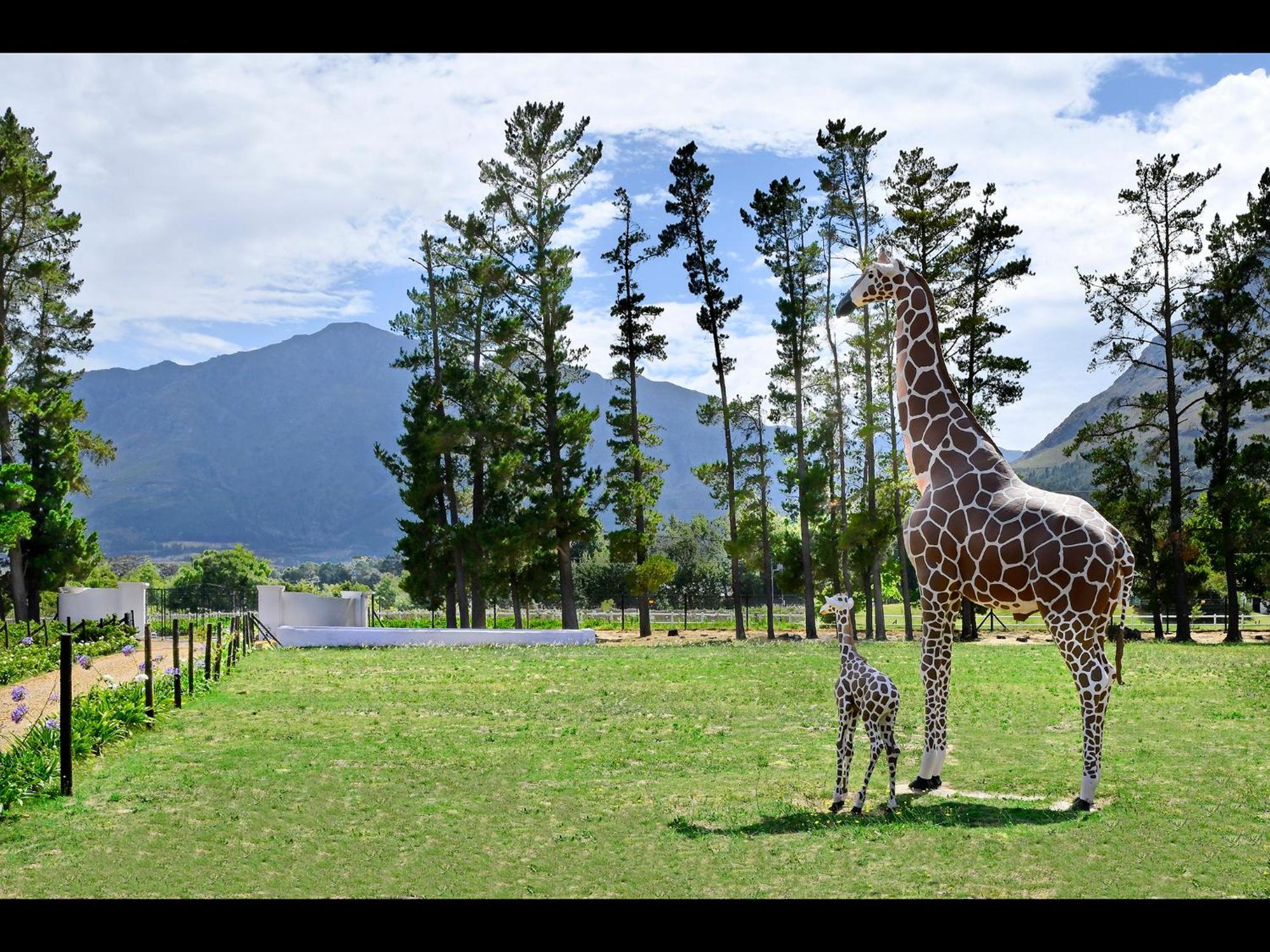 Auberge La Dauphine Guest House Franschhoek Zewnętrze zdjęcie